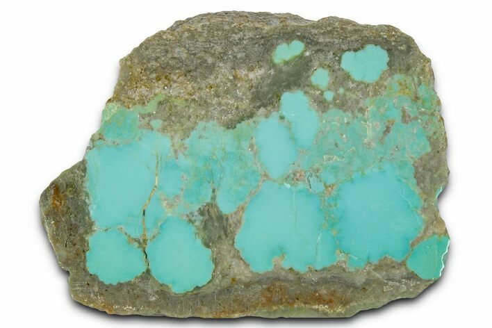 Polished Turquoise Slab - Number Mine, Carlin, NV #331166